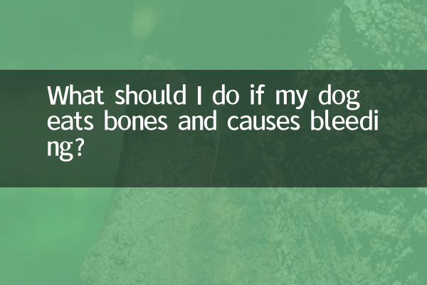 Was soll ich tun, wenn mein Hund Knochen frisst und Blutungen verursacht?