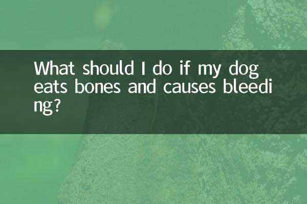Was soll ich tun, wenn mein Hund Knochen frisst und Blutungen verursacht?