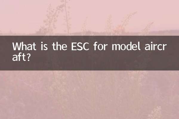 মডেল বিমানের জন্য ESC কি?