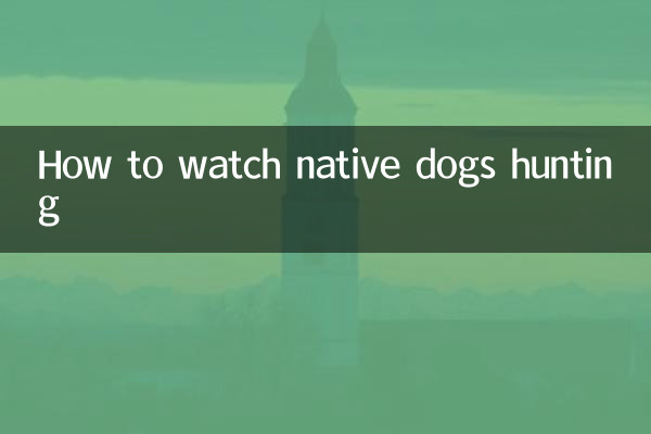 토종견의 사냥을 지켜보는 방법