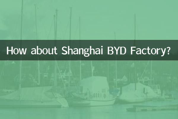 How about Shanghai BYD Factory?