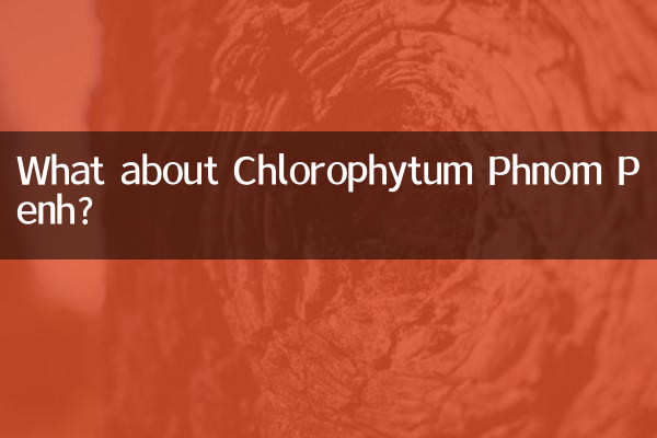 What about Chlorophytum Phnom Penh?