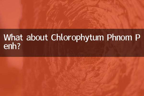 What about Chlorophytum Phnom Penh?