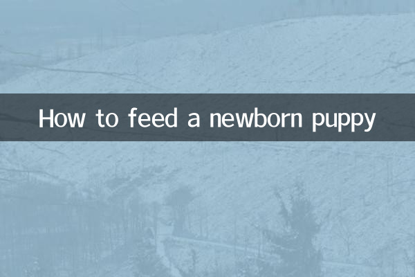 How to feed a newborn puppy