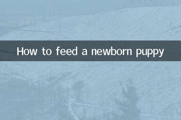 How to feed a newborn puppy