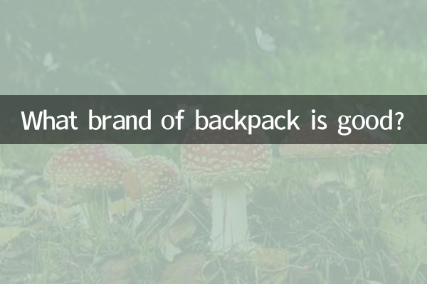 雙肩背包什麼品牌好