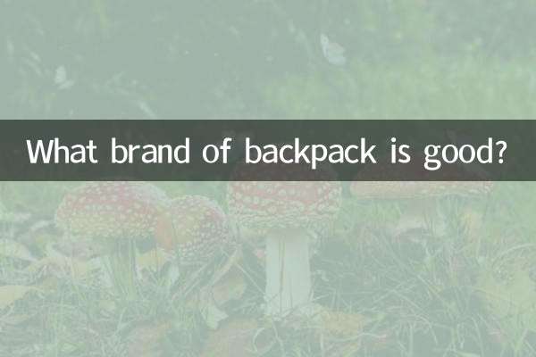 ¿Qué marca de mochila es buena?