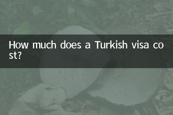 Quanto costa il visto turco?