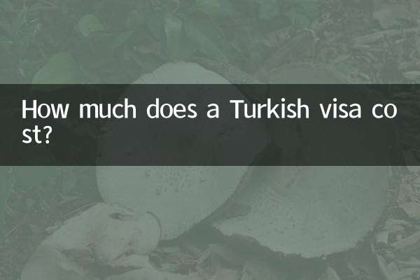 터키 비자 비용은 얼마입니까?