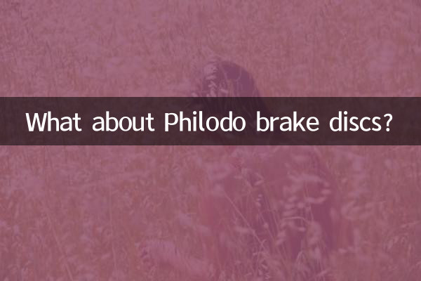 دیسک ترمز فیلودو چطور؟