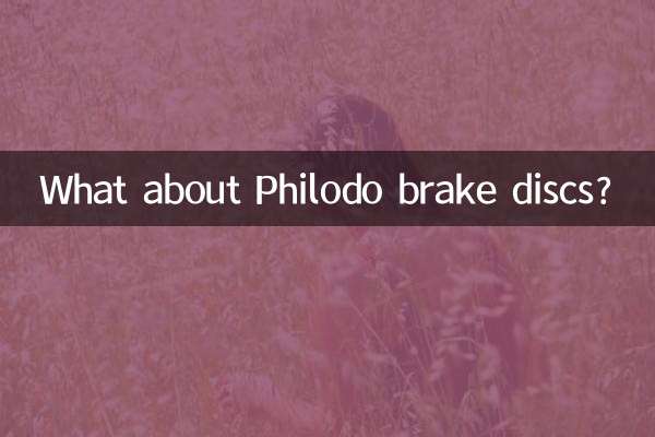 دیسک ترمز فیلودو چطور؟