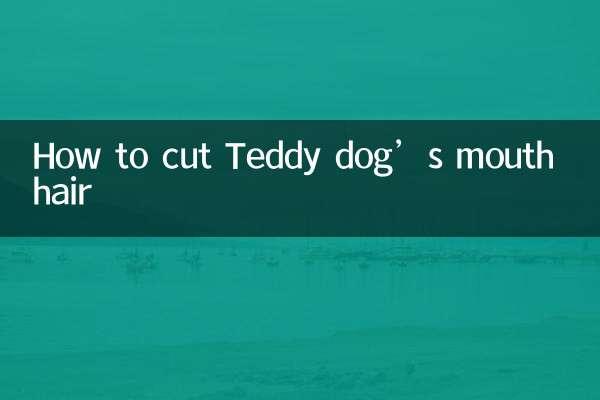 How to cut Teddy dog’s mouth hair