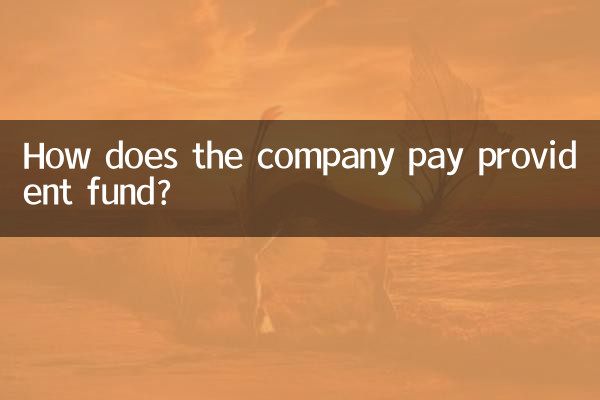 کمپنی پروویڈنٹ فنڈ کی ادائیگی کیسے کرتی ہے؟