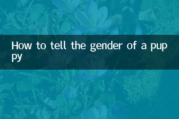 کتے کے صنف کو کیسے بتائیں