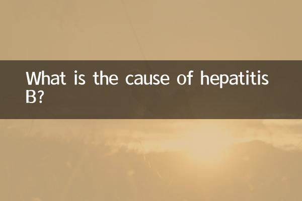 What is the cause of hepatitis B?