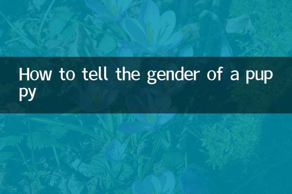 کتے کے صنف کو کیسے بتائیں