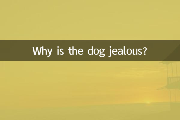 Why is the dog jealous?