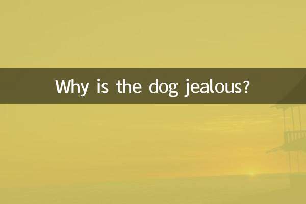 ¿Por qué el perro está celoso?
