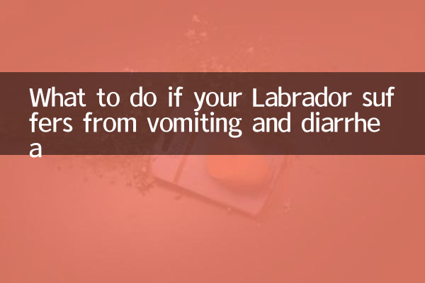 Was tun, wenn Ihr Labrador unter Erbrechen und Durchfall leidet?