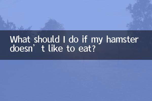 ¿Qué debo hacer si a mi hámster no le gusta comer?