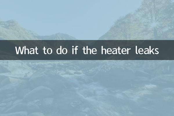 अगर हीटर लीक हो जाए तो क्या करें