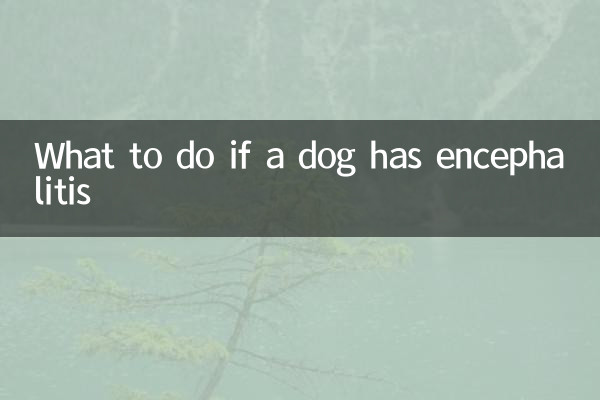 Cosa fare se un cane ha l'encefalite