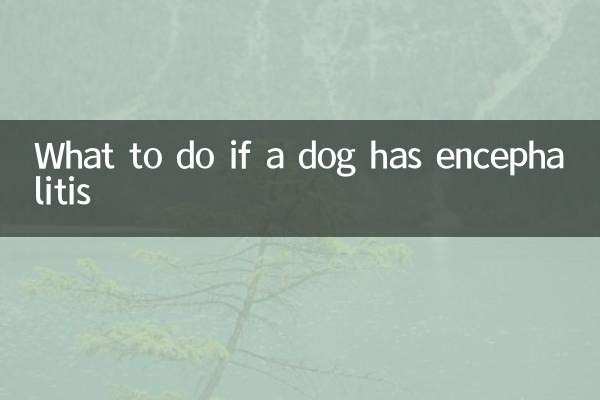 Cosa fare se un cane ha l'encefalite