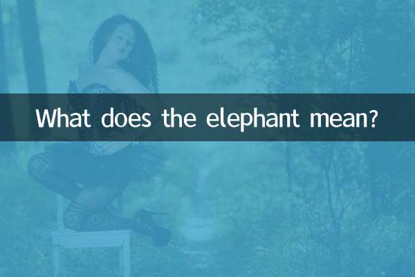 大象有什么寓意