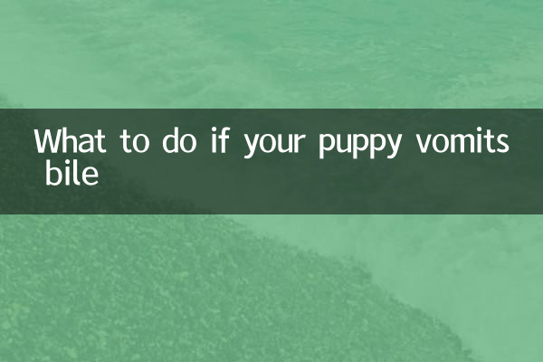 O que fazer se seu cachorro vomitar bile