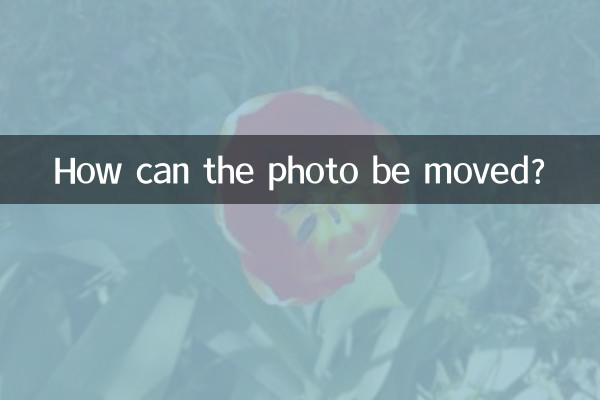 كيف يمكن نقل الصورة؟