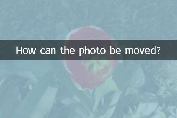 كيف يمكن نقل الصورة؟