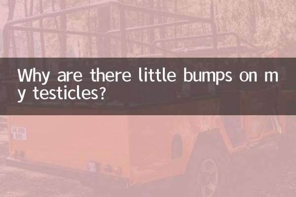 Pourquoi y a-t-il des petites bosses sur mes testicules ?