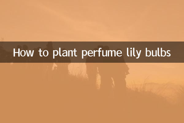 Как посадить луковицы парфюмерных лилий