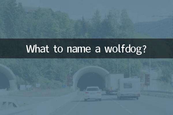 بھیڑیا کا نام کیا ہے؟