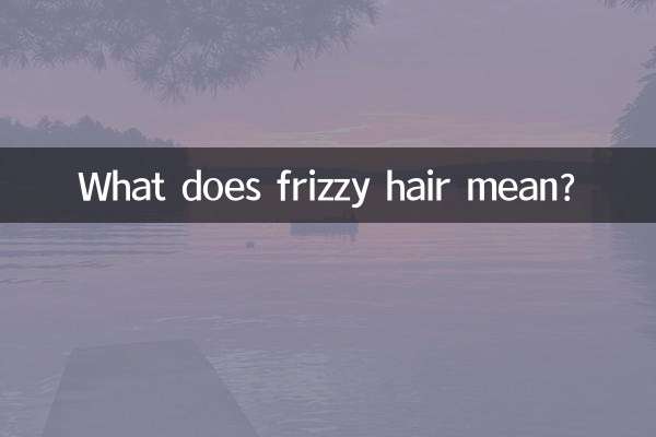 头发毛躁什么意思