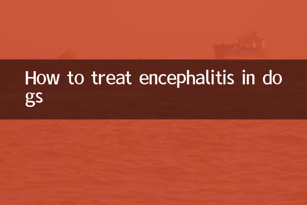 개의 뇌염을 치료하는 방법