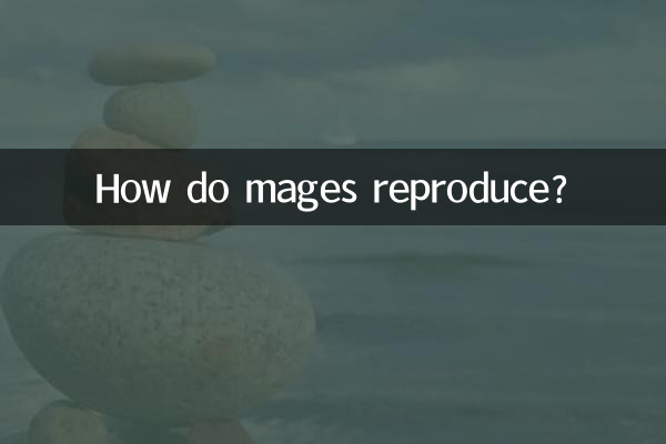 How do mages reproduce?