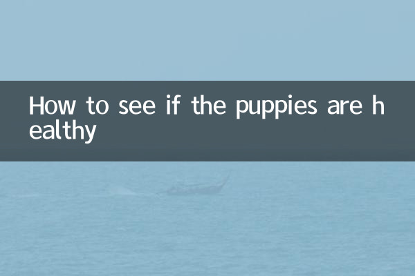 怎麼看幼犬是否健康