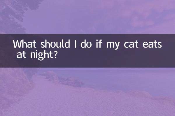 猫が夜に食事をした場合はどうすればよいですか?