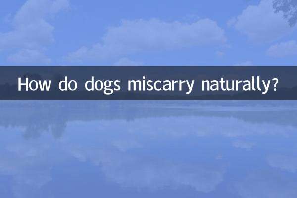 Como os cães abortam naturalmente?