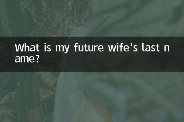 私の将来の妻の姓は何ですか?