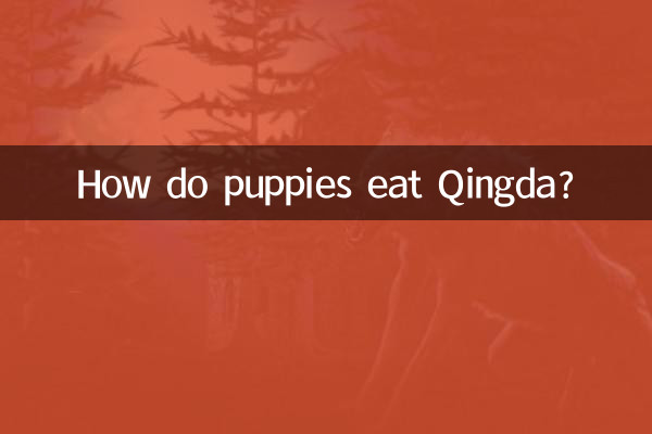 Comment les chiots mangent-ils le Qingda ?