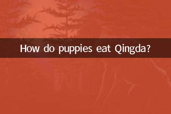 Comment les chiots mangent-ils le Qingda ?