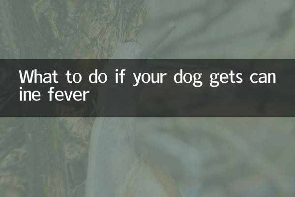 Qué hacer si a tu perro le da fiebre canina