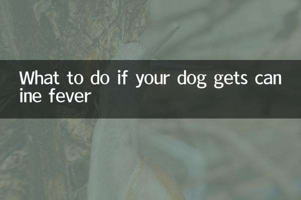狗狗得了犬熱怎麼辦