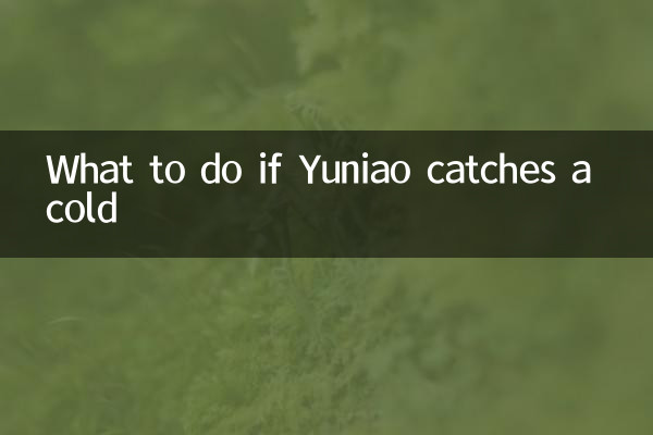 Que faire si Yuniao attrape un rhume