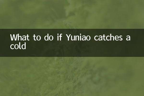 Que faire si Yuniao attrape un rhume