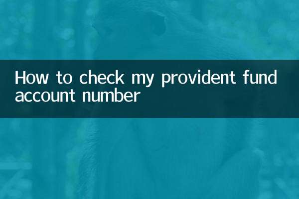 How to check my provident fund account number