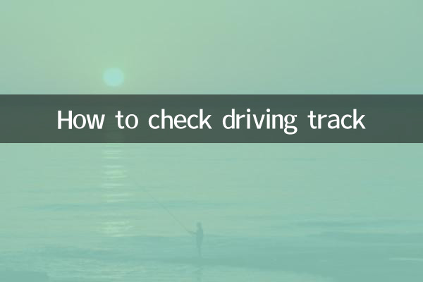 怎麼查行車軌跡