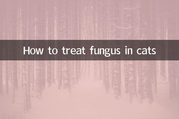 Come trattare i funghi nei gatti